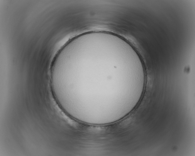 X0000110681286200907021901