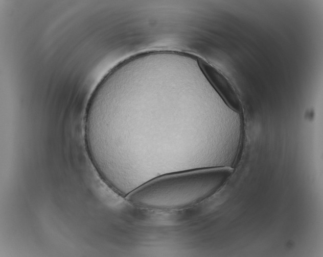 X0000110681288200907021901