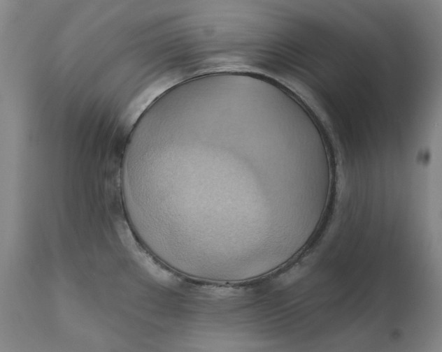 X0000110681289200907021901