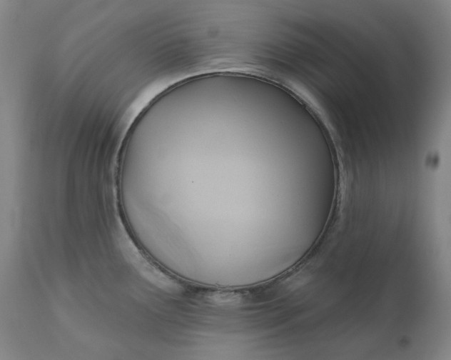 X0000110681291200907021901