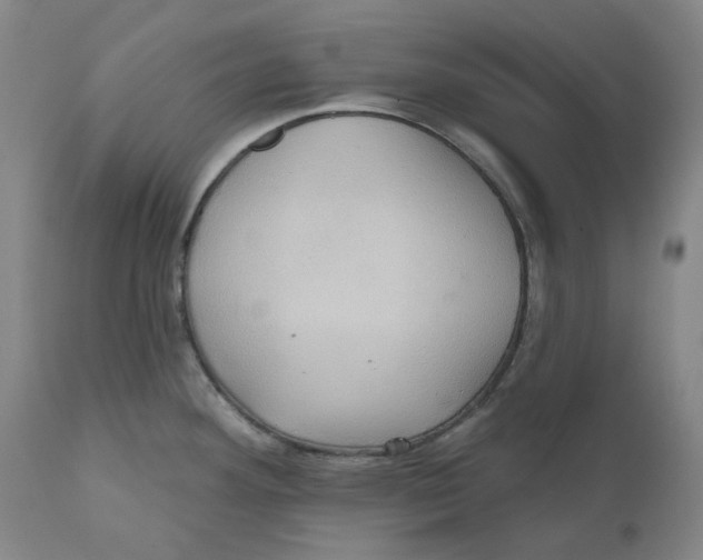 X0000110681292200907021901