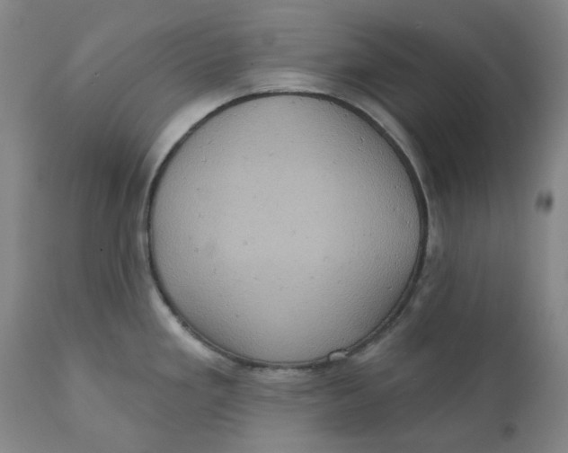 X0000110681293200907021901