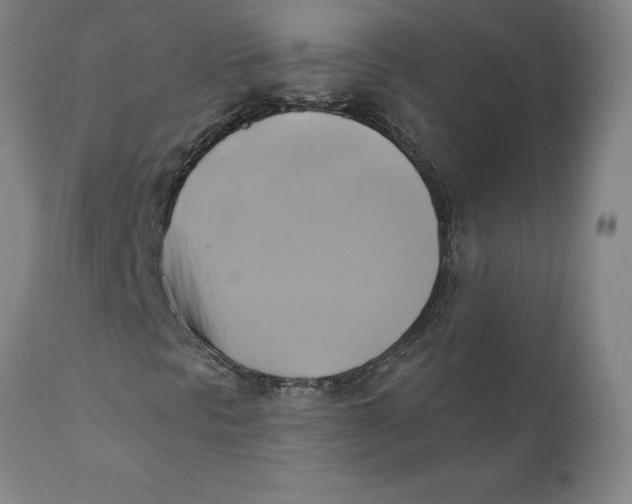 X0000110681297200907021900