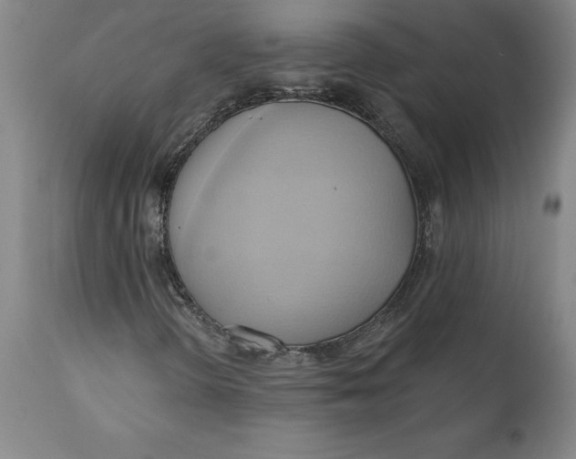 X0000110681298200907021900