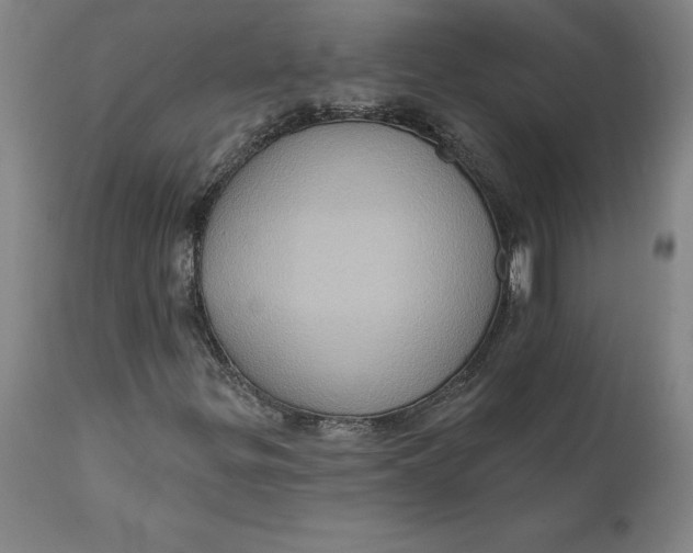 X0000110681299200907021900