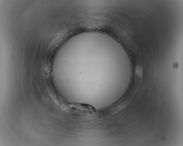 X0000110681300200907021900