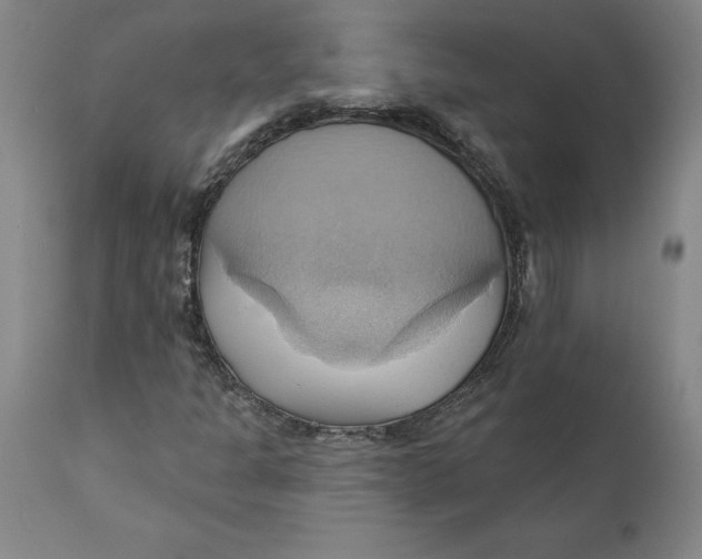 X0000110681301200907021900