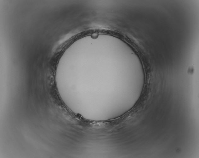 X0000110681303200907021900