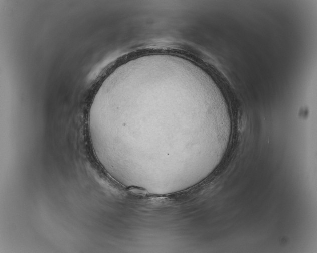 X0000110681304200907021900