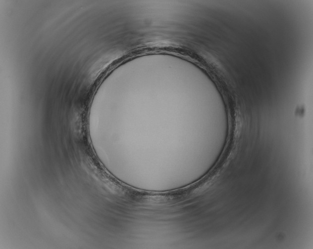 X0000110681305200907021900