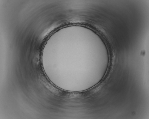 X0000110681306200907021900