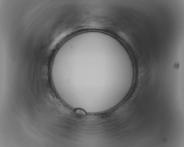 X0000110681307200907021900