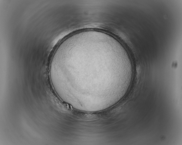 X0000110681308200907021900