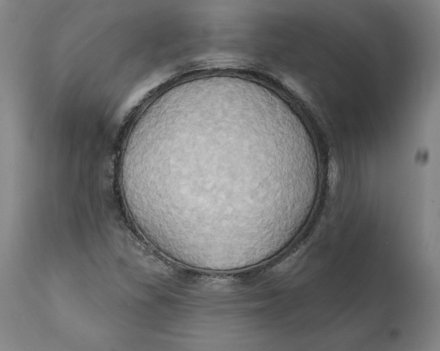 X0000110681309200907021900