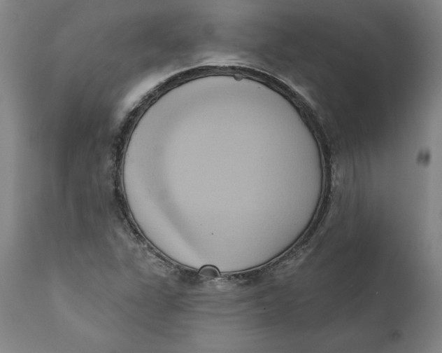 X0000110681311200907021900