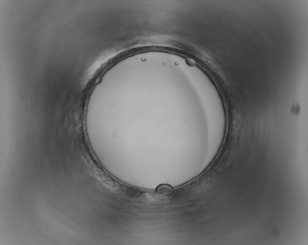 X0000110681312200907021900