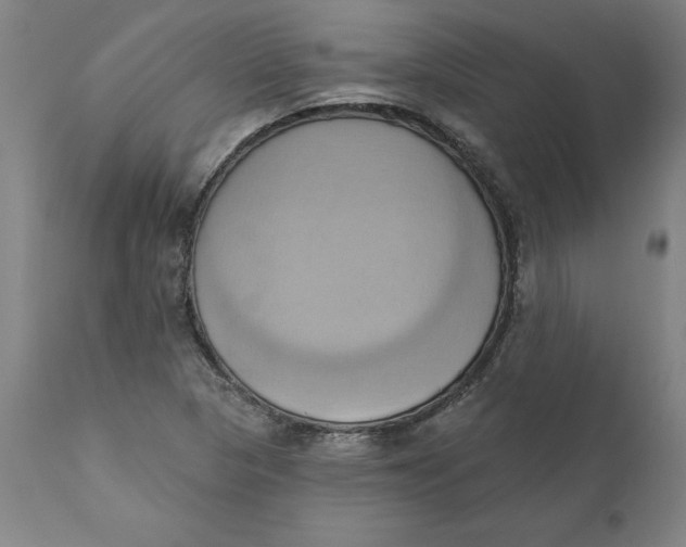 X0000110681313200907021900