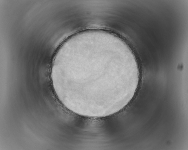 X0000110681314200907021900