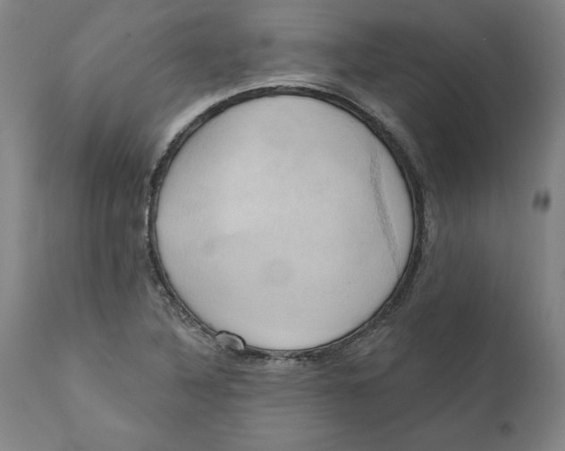 X0000110681316200907021901