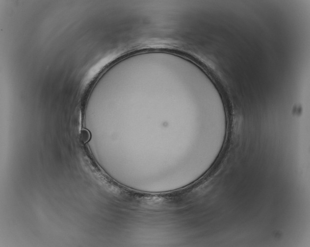 X0000110681317200907021901