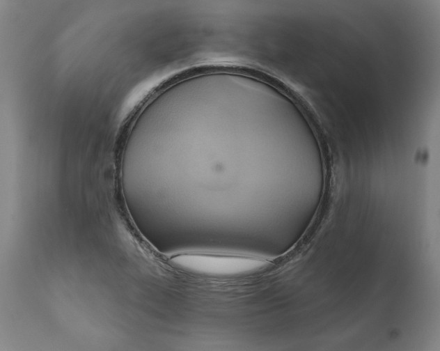 X0000110681319200907021901