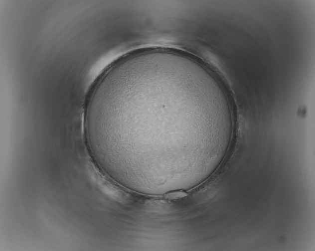 X0000110681320200907021901