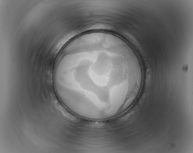 X0000110681321200907021901