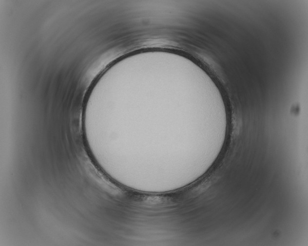 X0000110681322200907021901