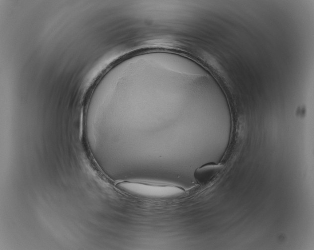 X0000110681323200907021901