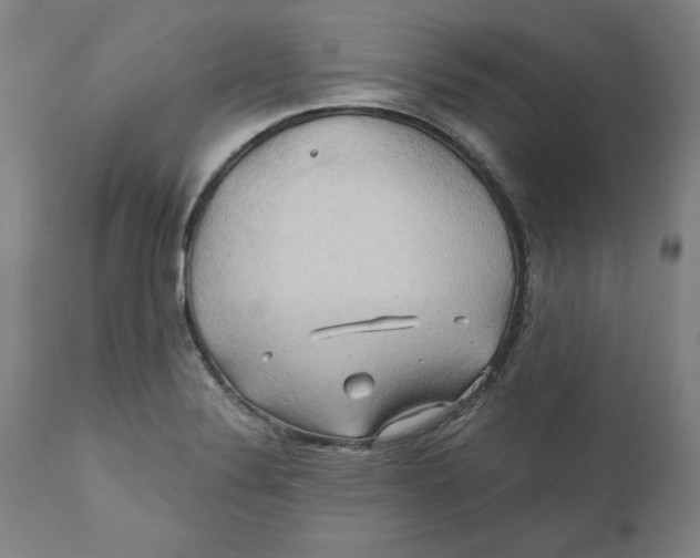 X0000110681324200907021901