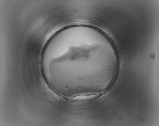 X0000110681325200907021901