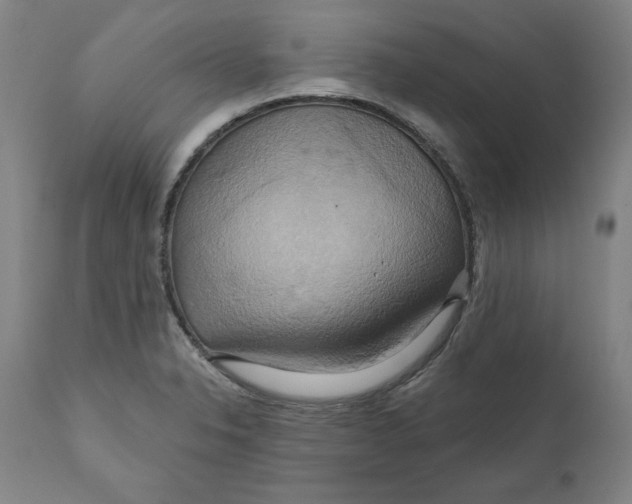 X0000110681326200907021901