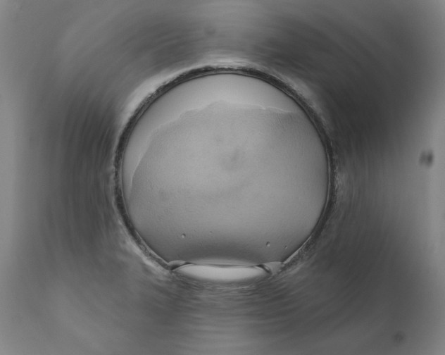 X0000110681327200907021901