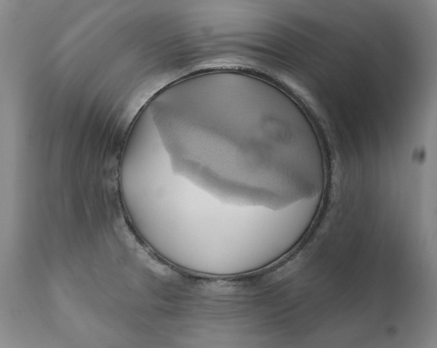 X0000110681329200907021901