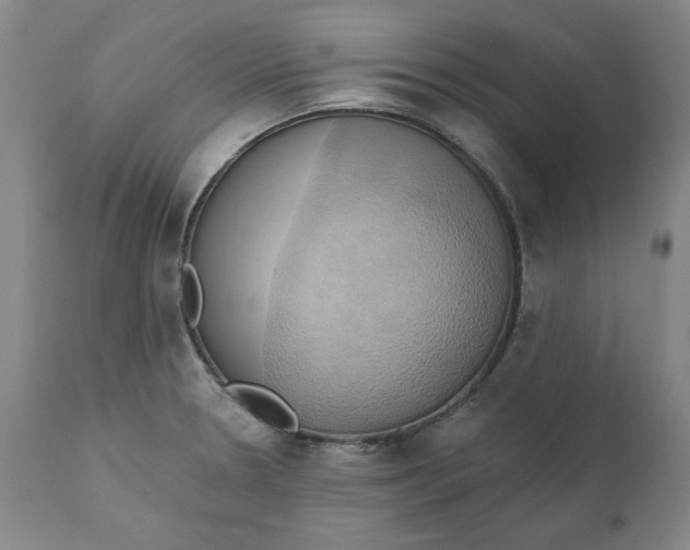 X0000110681330200907021901