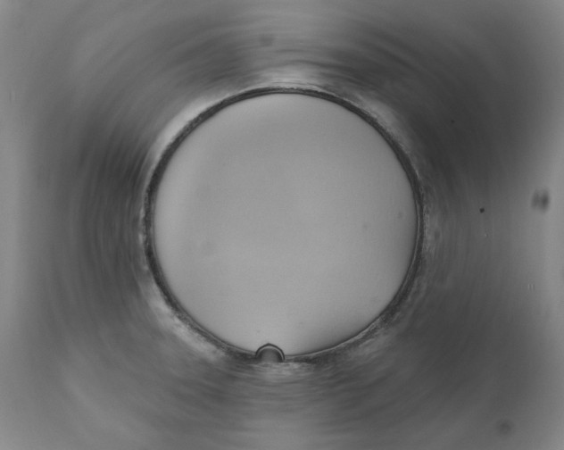 X0000110681331200907021901