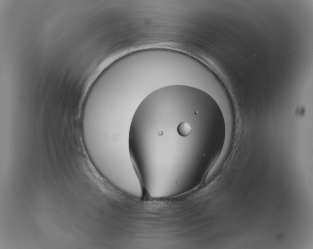 X0000110681332200907021901