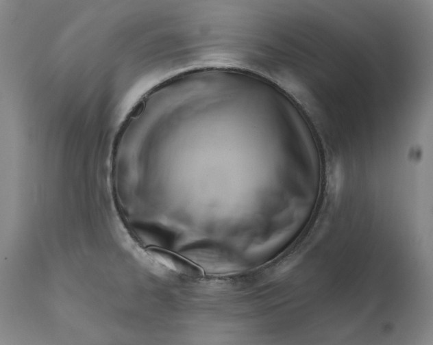 X0000110681334200907021901