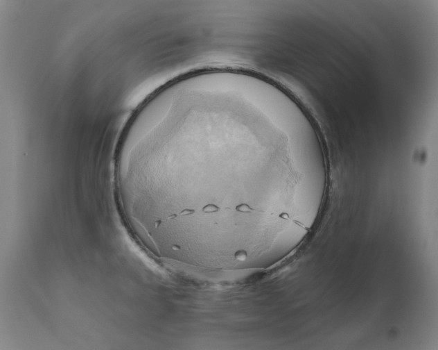 X0000110681335200907021901