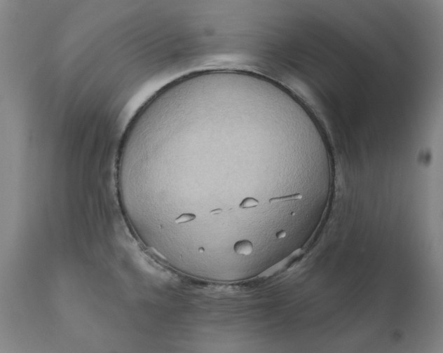 X0000110681336200907021901