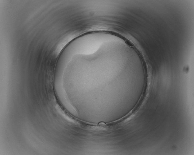 X0000110681337200907021901