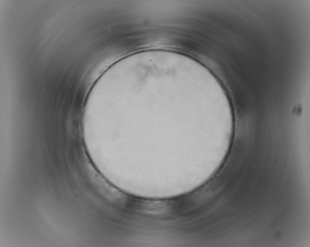 X0000110681338200907021901