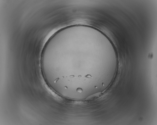 X0000110681339200907021901