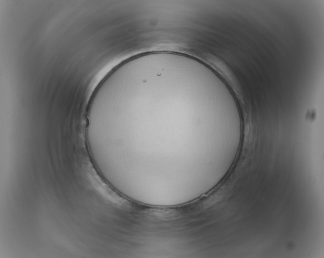 X0000110681340200907021901