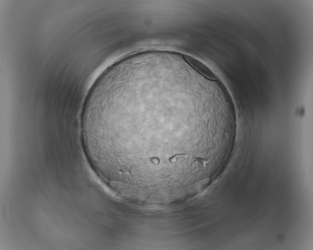 X0000110681341200907021901