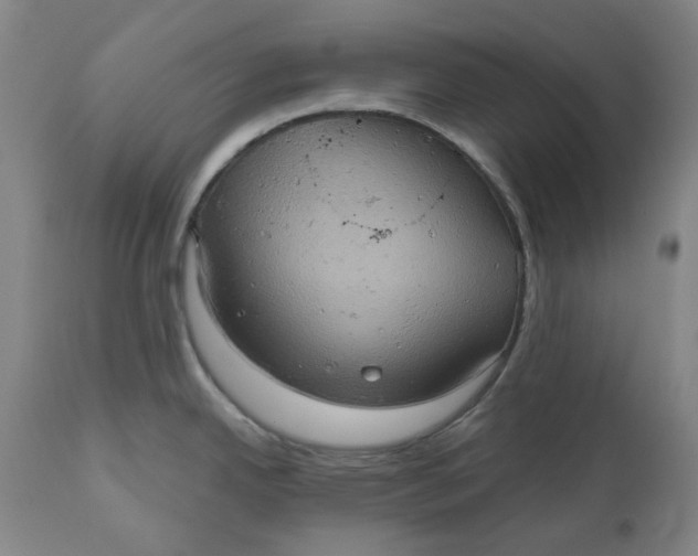 X0000110681342200907021901