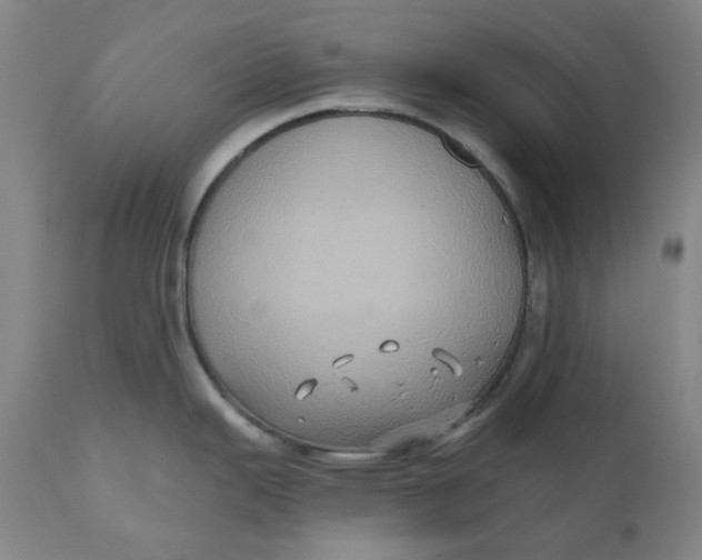 X0000110681343200907021901