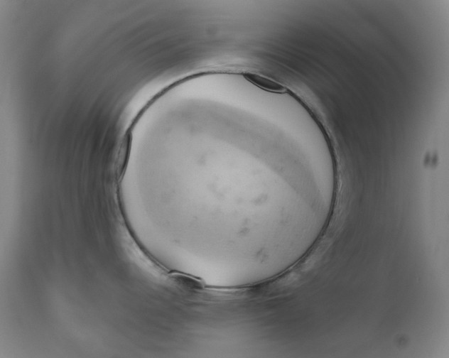 X0000110681344200907021901