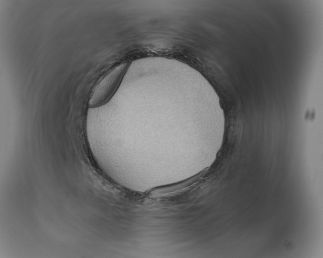 X0000110681345200907021900