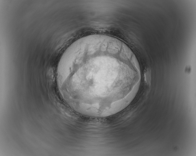 X0000110681347200907021900